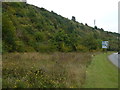 Overgrown former chalk quarry near Bluewater, Kent