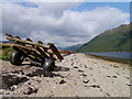 A Tideline Trailer