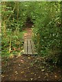 Footbridge, Bolney Wood