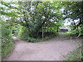 Bridleway junction in Great Church Wood