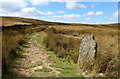 SE0384 : Boundary Stone on Carlton Moor by Chris Heaton