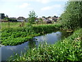 The Duke of Northumberland River near the Great South-West Road