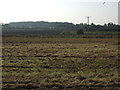 Farmland, Burton Agnes