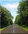 Country road near Hartwell (1)