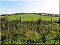 Pullyernan Townland