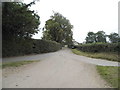 Farm track off Wildhill Road