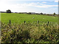 Pullyernan Townland