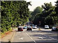 SU9768 : London Road/Blacknest Road Junction by David Dixon
