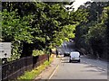 SU9768 : London Road approaching Cascade Bridge by David Dixon