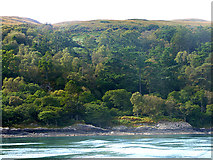 NR7099 : Wooded coast of Jura by Oliver Dixon
