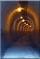 SE2800 : Thurgoland (1947 Huthwaite) former railway tunnel by Steve  Fareham