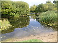 Looking across Shortwood Pond