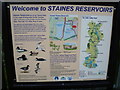 Welcome to Staines Reservoirs