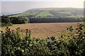 Valley behind Bee Sands