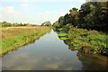 SJ5510 : The River Tern at Attingham Park by Jeff Buck