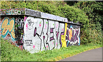 J3470 : Graffiti, Lagan towpath, Stranmillis, Belfast (September 2014) by Albert Bridge