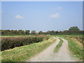 Footpath to East Brent