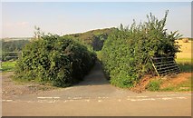 SX8142 : Junction near Widewell by Derek Harper
