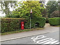 TG1905 : Keswick Road Postbox by Geographer