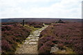 NZ5802 : Boundary stone and cairn by the Cleveland Way by Bill Boaden