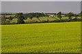 Mid Devon : Grassy Field