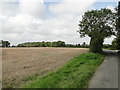 Open fields off Buckleswood Road