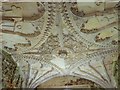 SU8921 : Intricate plasterwork on the fan vaulted ceiling of this porch, Cowdray Castle by Derek Voller