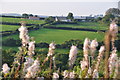 West Somerset : Countryside Scenery