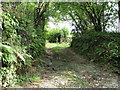 Track near Webland Farm, Horsebrook, South Brent