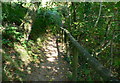 Footpath beside Lower Lliw reservoir