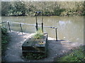 Structure by pond near Send, Surrey