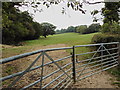 Scene across fields, close to a small stream, near Rattery