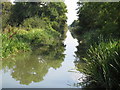 SP8514 : Aylesbury Arm, Grand Union Canal, near Aston Clinton by David Hawgood