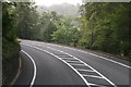 A616 to Holmfirth running past Park Wood