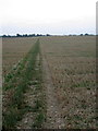 Path across the fields to Denton