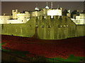 TQ3380 : Poppies in the Moat (1) by David Anstiss