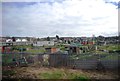 Allotment by the railway, Royston