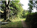 Small Lane, near Rattery