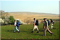 Llwybr Bryn / Bryn path