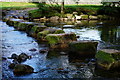 NY1700 : Stepping Stones, River Esk, Cumbria by Peter Trimming