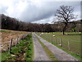 Llwybr Gwynfe House Path