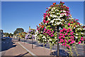 Floral display, Beauly