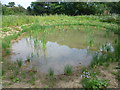 The Old Yachting Pond, Tooting Graveney Common