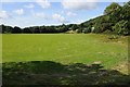 SJ0170 : Meadow at Bont-Newydd by Philip Halling