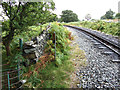 Snowdon Mountain Railway