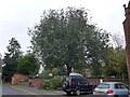 Looking from Rectory Road towards the parish church