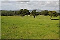 Farmland above Bont-Newydd