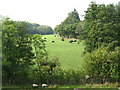 Country south-west of Newbridge-on-Wye