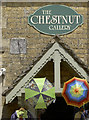 The Chestnut Gallery