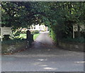 SJ8478 : Leafy entrance to Alderley Edge Physiotherapy Clinic by Jaggery